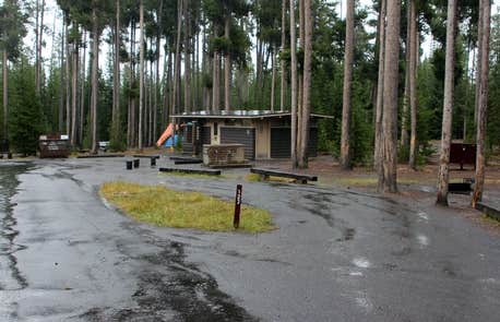 Camper-submitted photo at Grant Village Campground — Yellowstone National Park in Wyoming