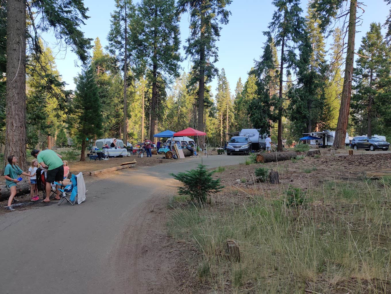 paul B.'s photo of camping with pets at Dinkey Creek near Sierra National Forest