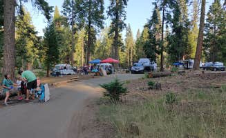 paul B.'s photo of camping with pets at Dinkey Creek near Shaver Lake, CA
