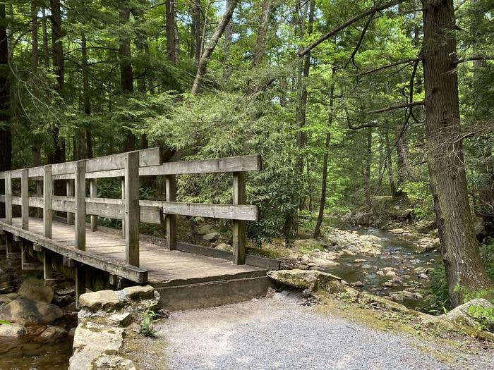 Horse Creek Recreation Area Camping | Afton, Tennessee Horse Creek Recreation Area Camping | Afton, Tennessee