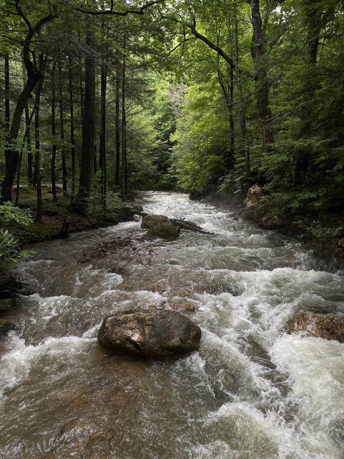 Camper submitted image from Horse Creek Recreation Area - 4