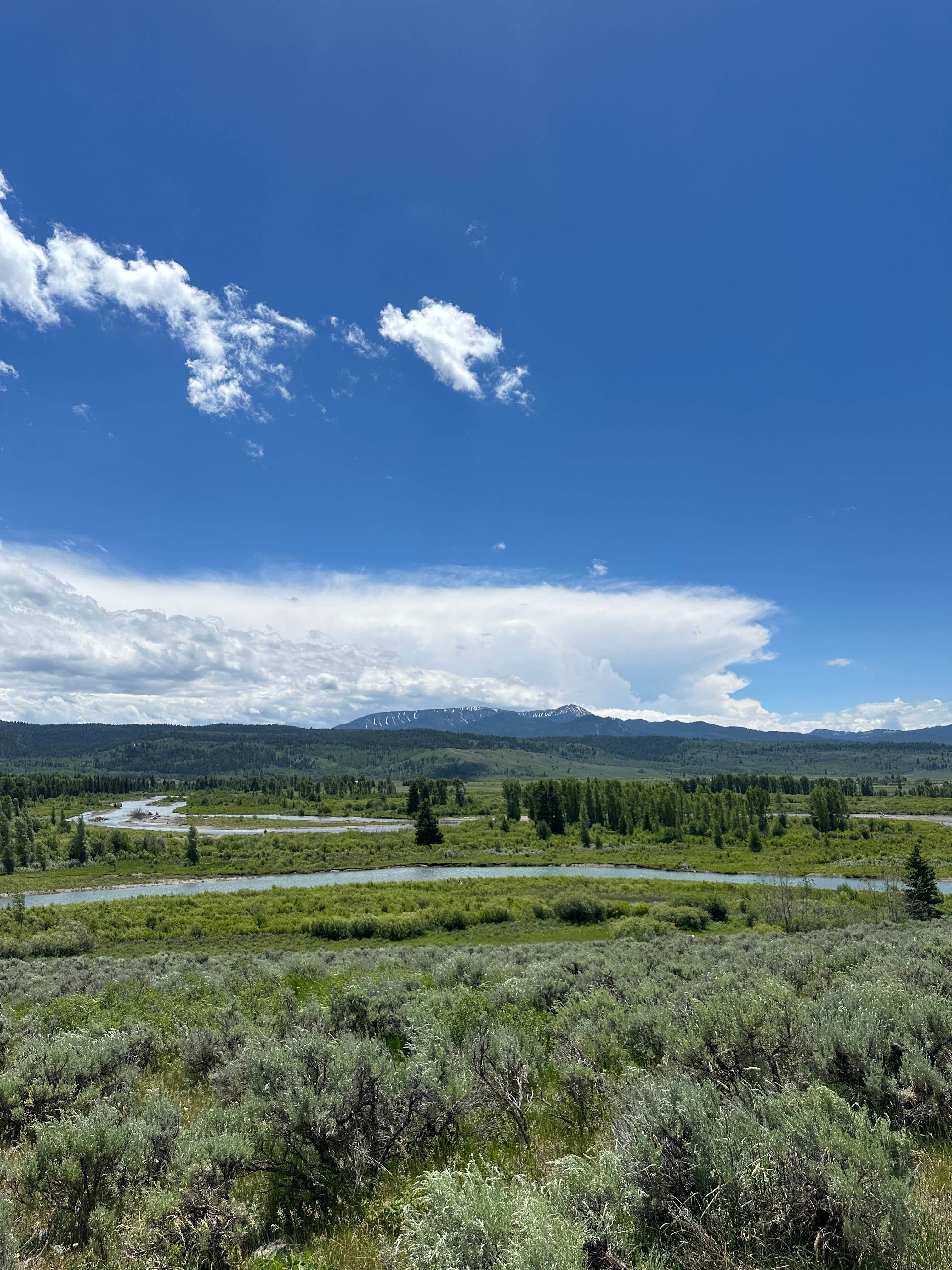 Andrew L.'s photo of a dispersed camping area at Buffalo Valley Campsites 4-7 near John D. Rockefeller Jr. Memorial Parkway