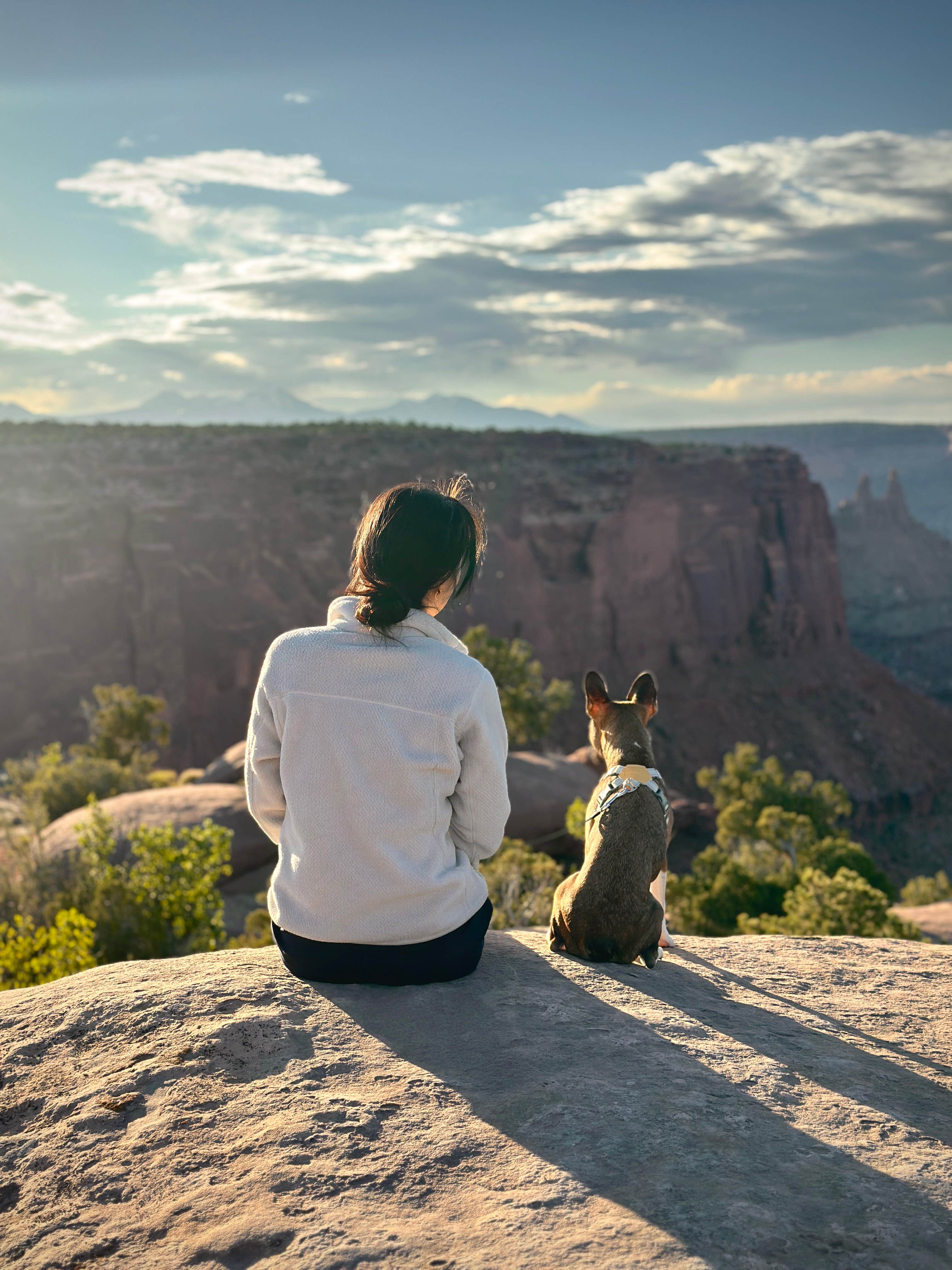 Andrew L.'s photo of camping with pets at BLM Middle Fork Shafer Canyon Dispersed near Canyonlands National Park