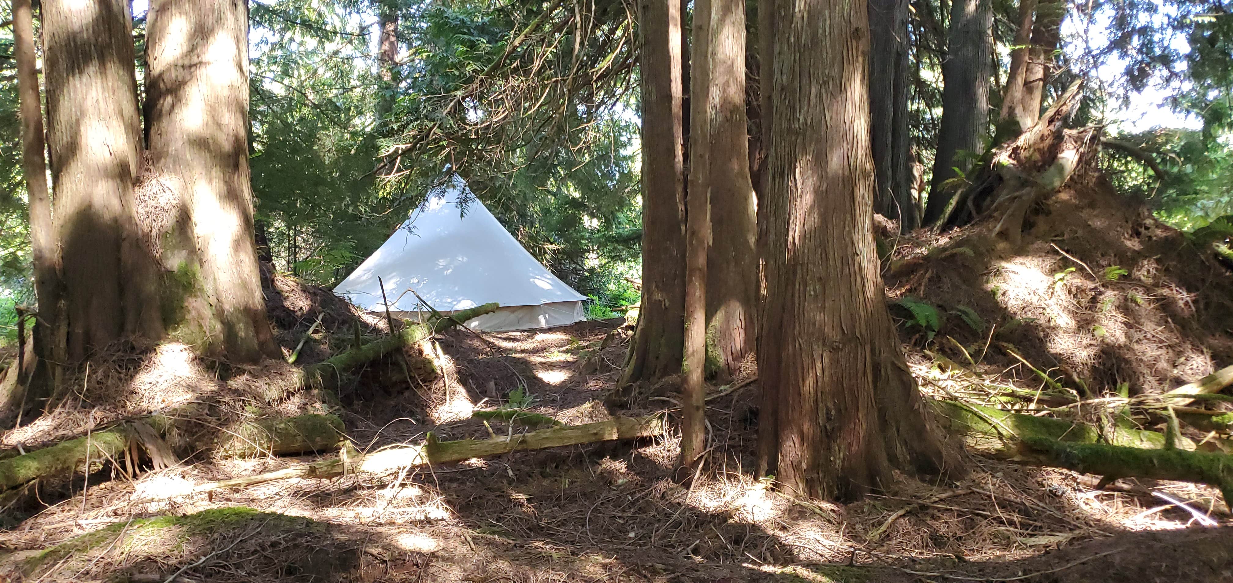 Aimee B.'s photo at Weekend Worrior Camping near Joyce, WA