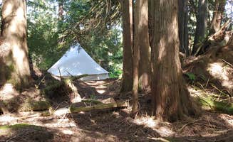 Aimee B.'s photo of tent camping at Weekend Worrior Camping near Clallam Bay, WA