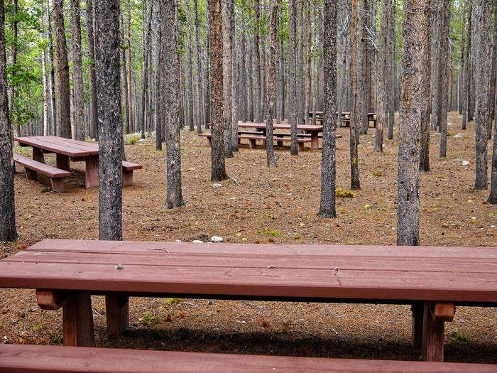 Hettinger Group Area Camping Buffalo, WY The Dyrt