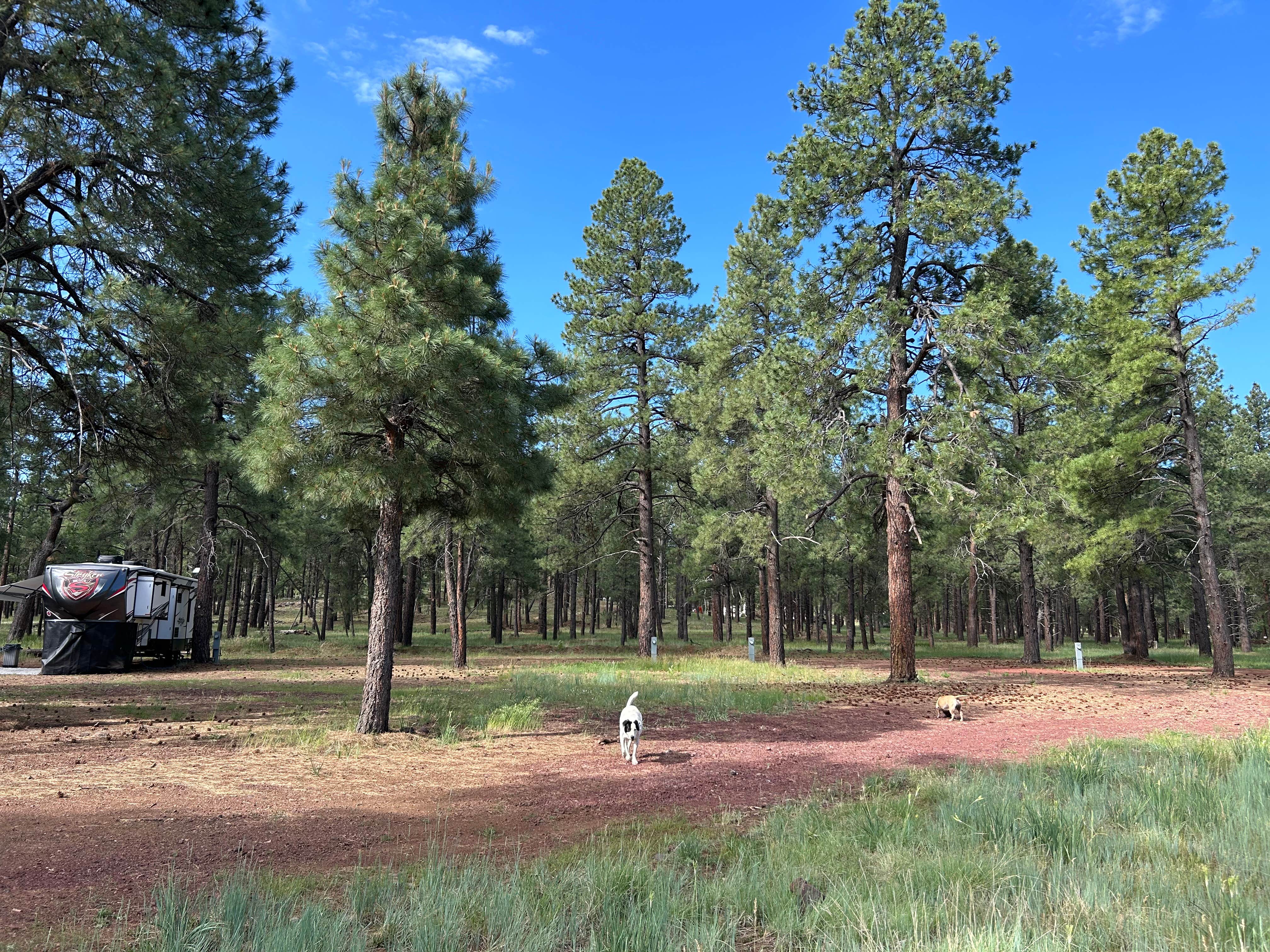 Melisa M.'s photo at Lost Dog Ranch near Williams, AZ