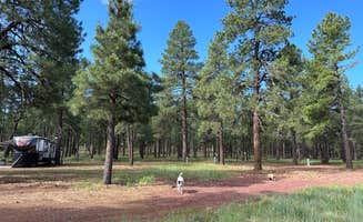 Melisa M.'s photo at Lost Dog Ranch near Williams, AZ
