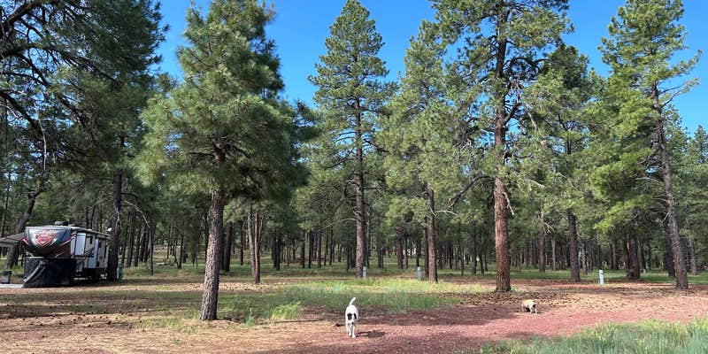 Camper submitted image from Lost Dog Ranch