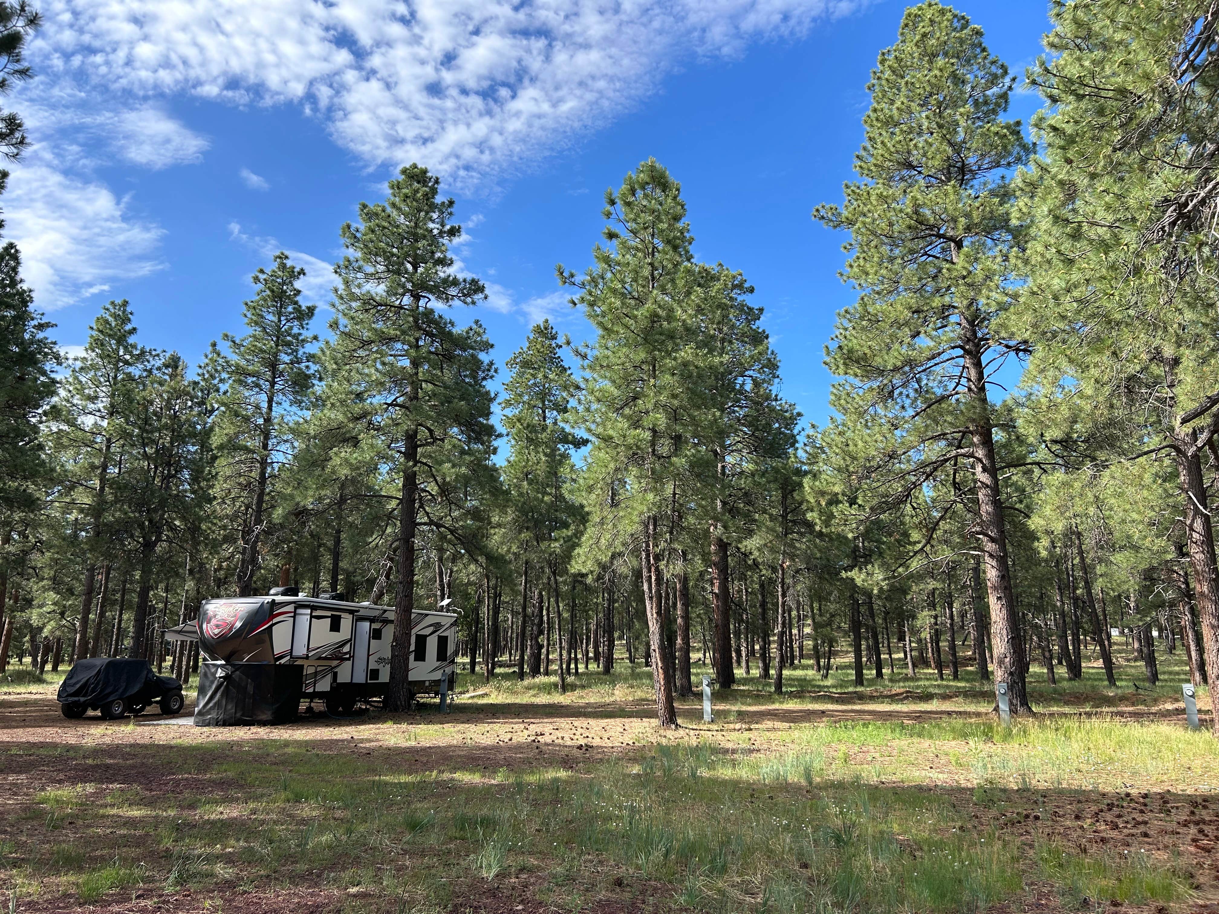 Camper submitted image from Lost Dog Ranch - 2
