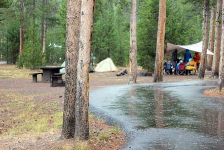 Camper-submitted photo at Madison Campground — Yellowstone National Park in Wyoming