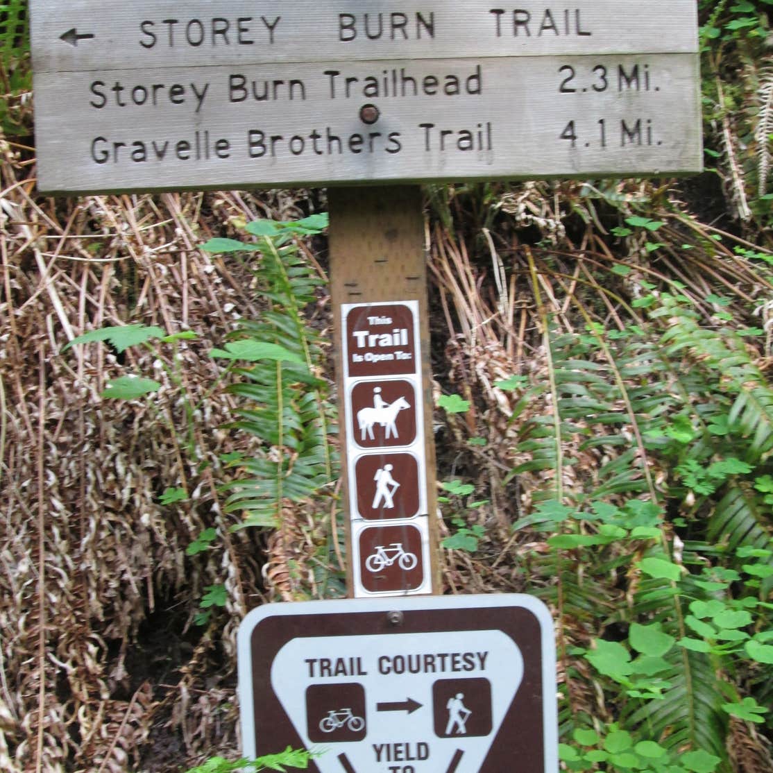 Gales Creek Campground Camping The Dyrt