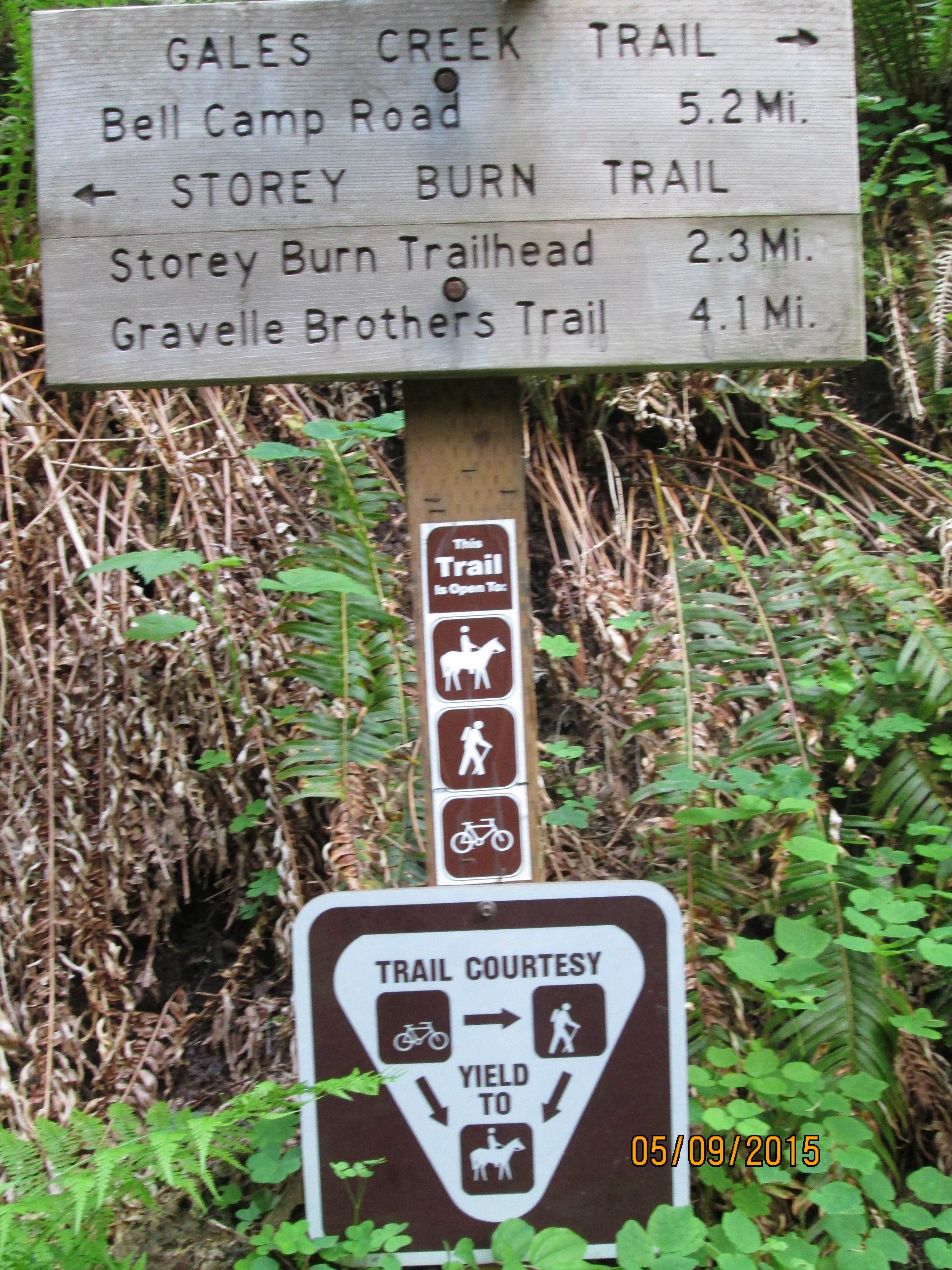 Camper submitted image from Gales Creek Campground - 3