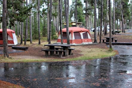 Camper-submitted photo at Madison Campground — Yellowstone National Park in Wyoming