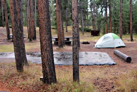 Camper-submitted photo at Madison Campground — Yellowstone National Park in Wyoming