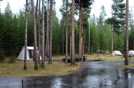 Camper submitted image from Madison Campground — Yellowstone National Park - 1