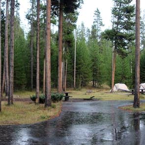 Madison Campground — Yellowstone National Park