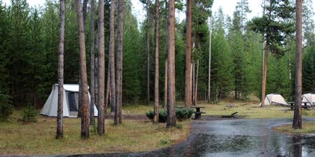 Camper submitted image from Madison Campground — Yellowstone National Park