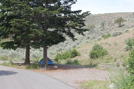 Camper submitted image from Mammoth Campground — Yellowstone National Park - 4