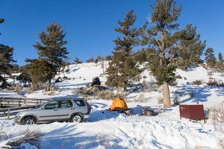 Camper submitted image from Mammoth Campground — Yellowstone National Park - 3