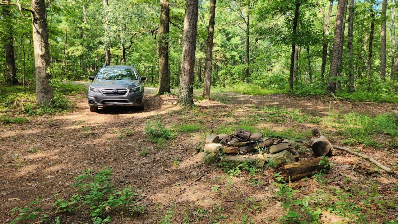 Camper submitted image from Charleston Road Dispersed, Ozark NF, AR - 4