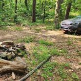 Review photo of Charleston Road Dispersed, Ozark NF, AR by Fred S., July 4, 2024