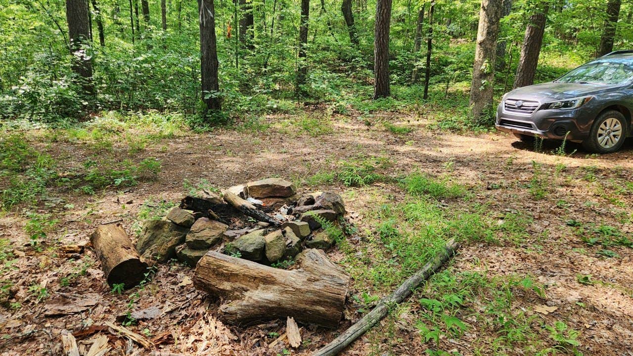 Camper submitted image from Charleston Road Dispersed, Ozark NF, AR - 3