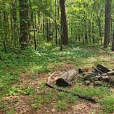 Review photo of Charleston Road Dispersed, Ozark NF, AR by Fred S., July 4, 2024