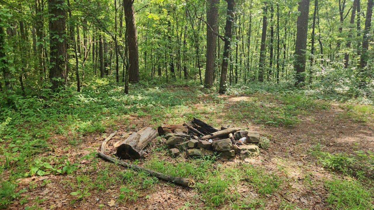 Camper submitted image from Charleston Road Dispersed, Ozark NF, AR - 1