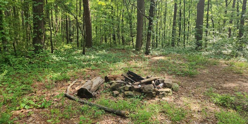 Camper submitted image from Charleston Road Dispersed, Ozark NF, AR
