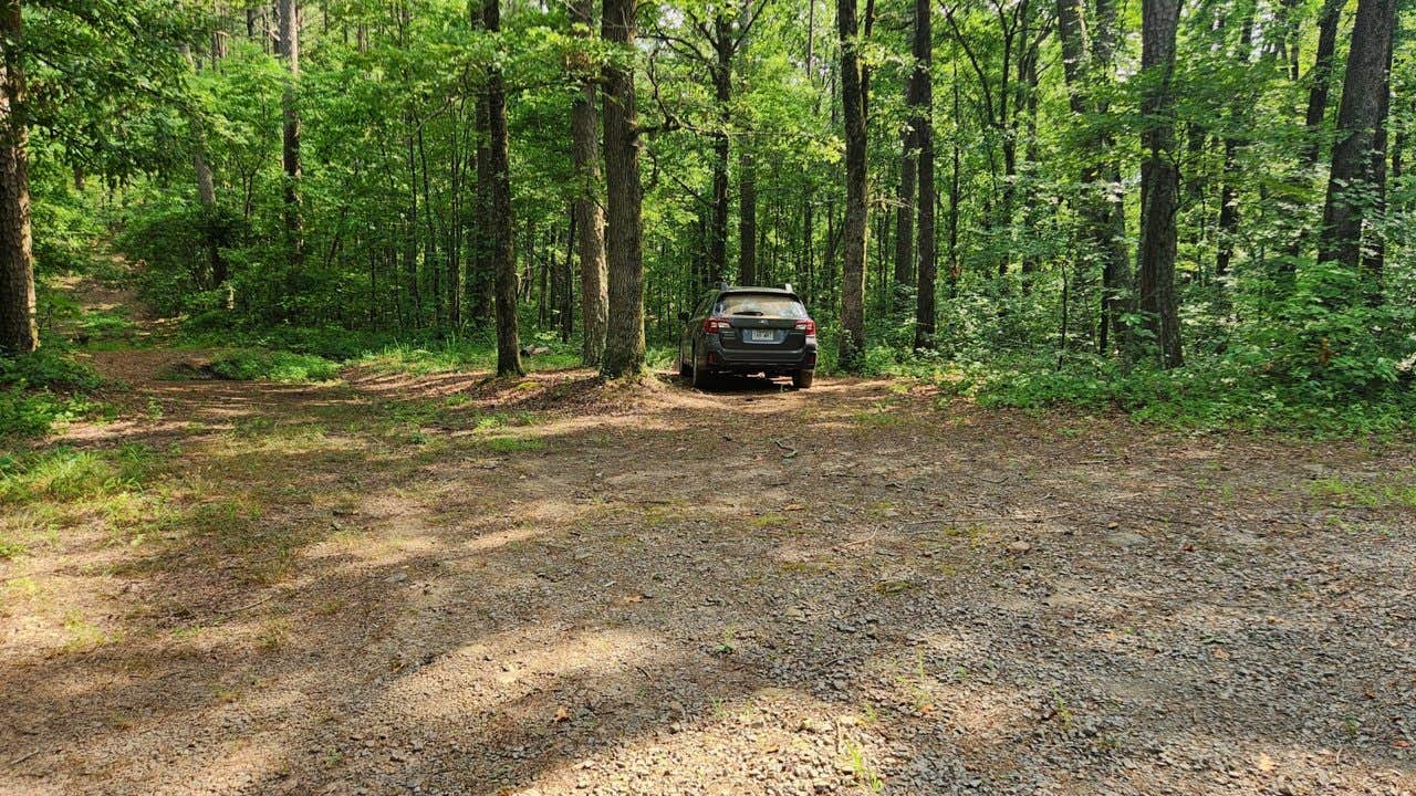 Camper submitted image from Charleston Road Dispersed, Ozark NF, AR - 2