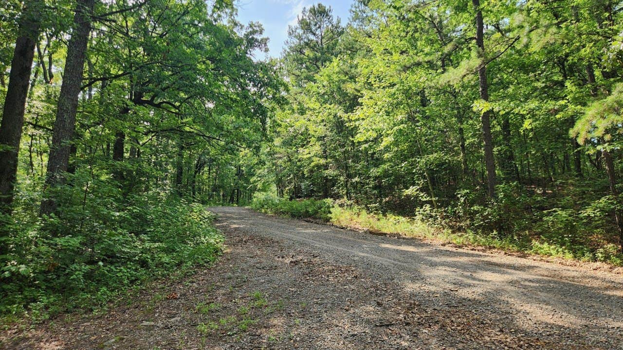 Camper-submitted photo at Charleston Road Dispersed, Ozark NF, AR near Leslie, AR