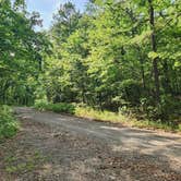 Review photo of Charleston Road Dispersed, Ozark NF, AR by Fred S., July 4, 2024