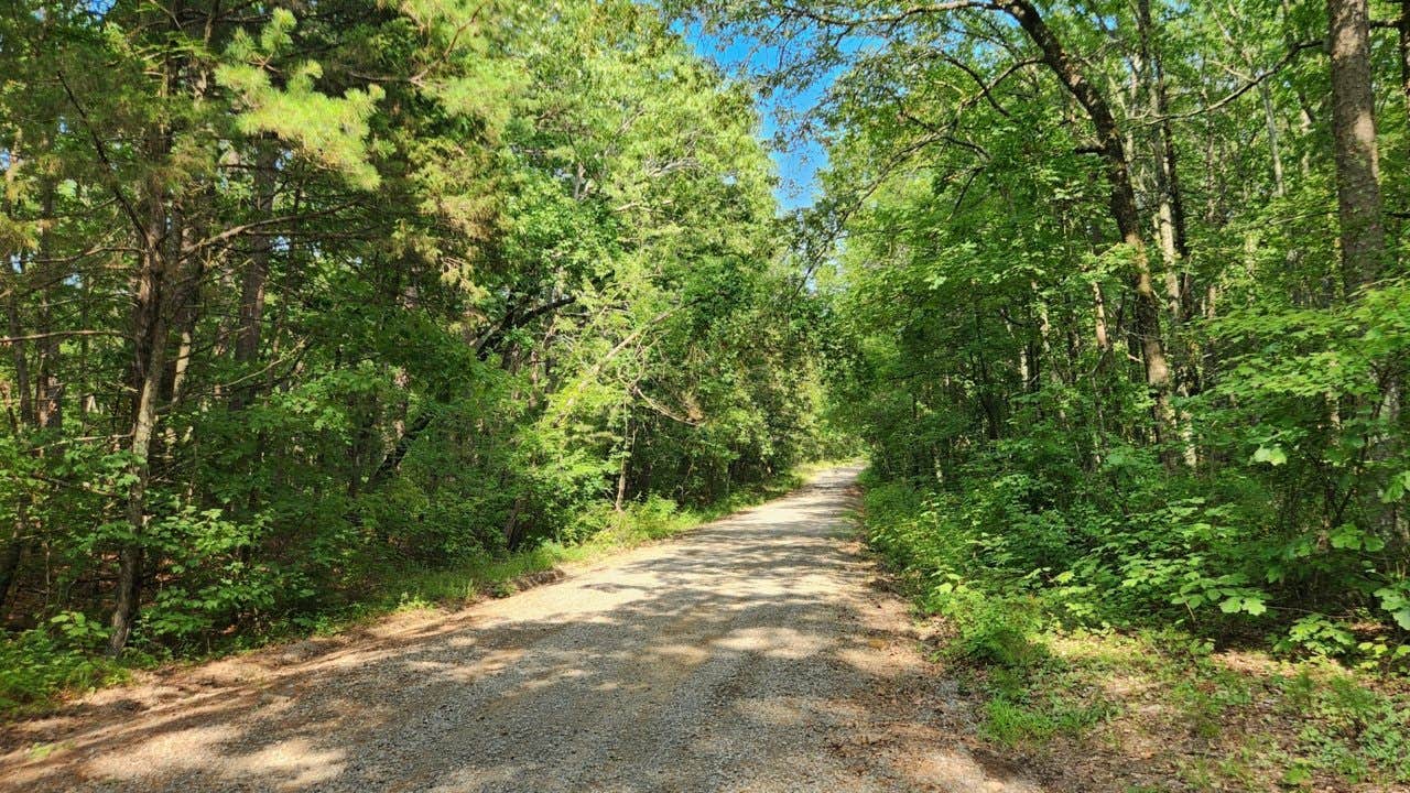 Camper-submitted photo at Charleston Road Dispersed, Ozark NF, AR near Leslie, AR