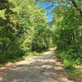 Review photo of Charleston Road Dispersed, Ozark NF, AR by Fred S., July 4, 2024