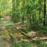 Review photo of Charleston Road Dispersed, Ozark NF, AR by Fred S., July 4, 2024