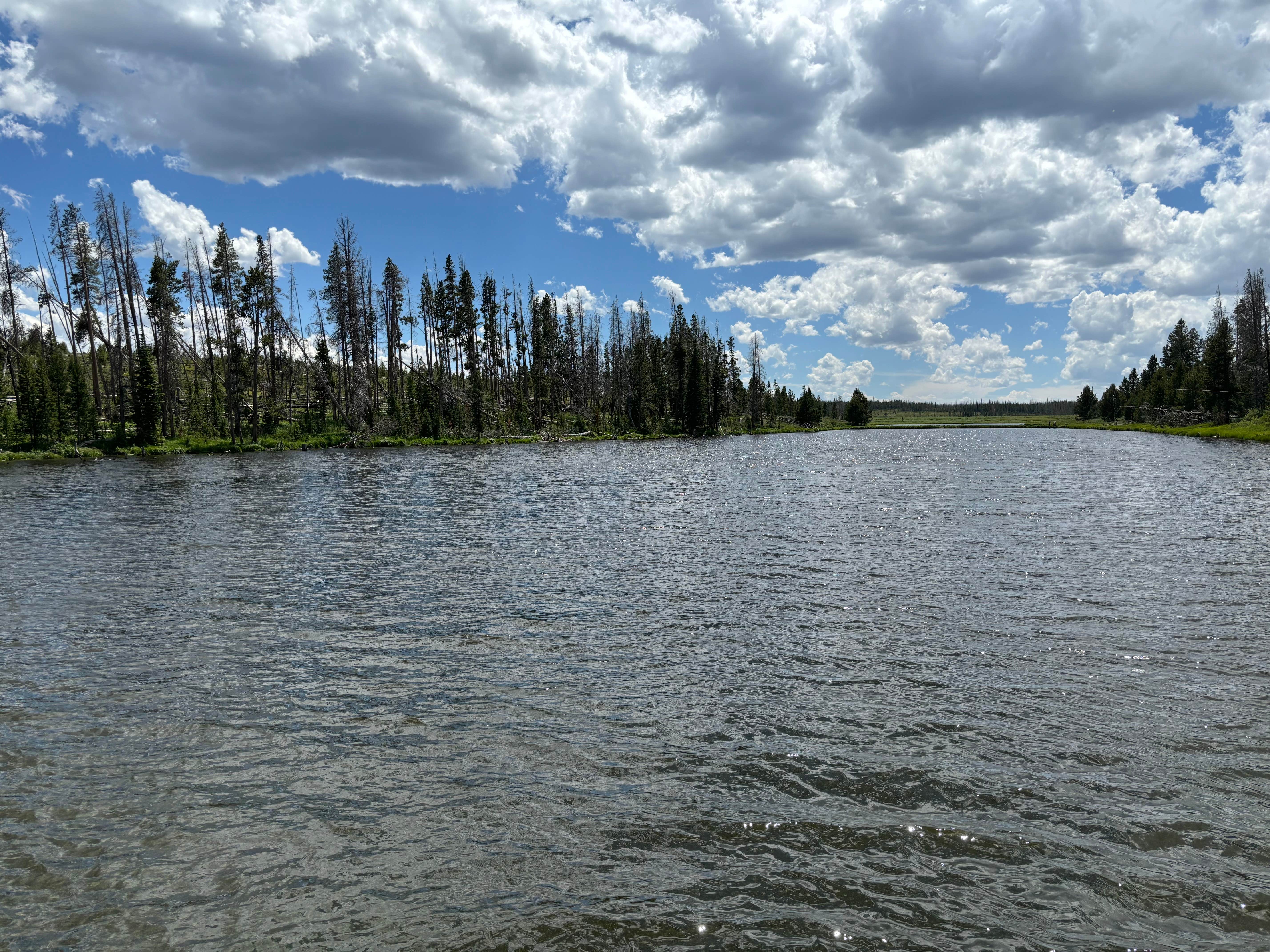 Camper-submitted photo at Miller Lake dispersed near Jelm, WY