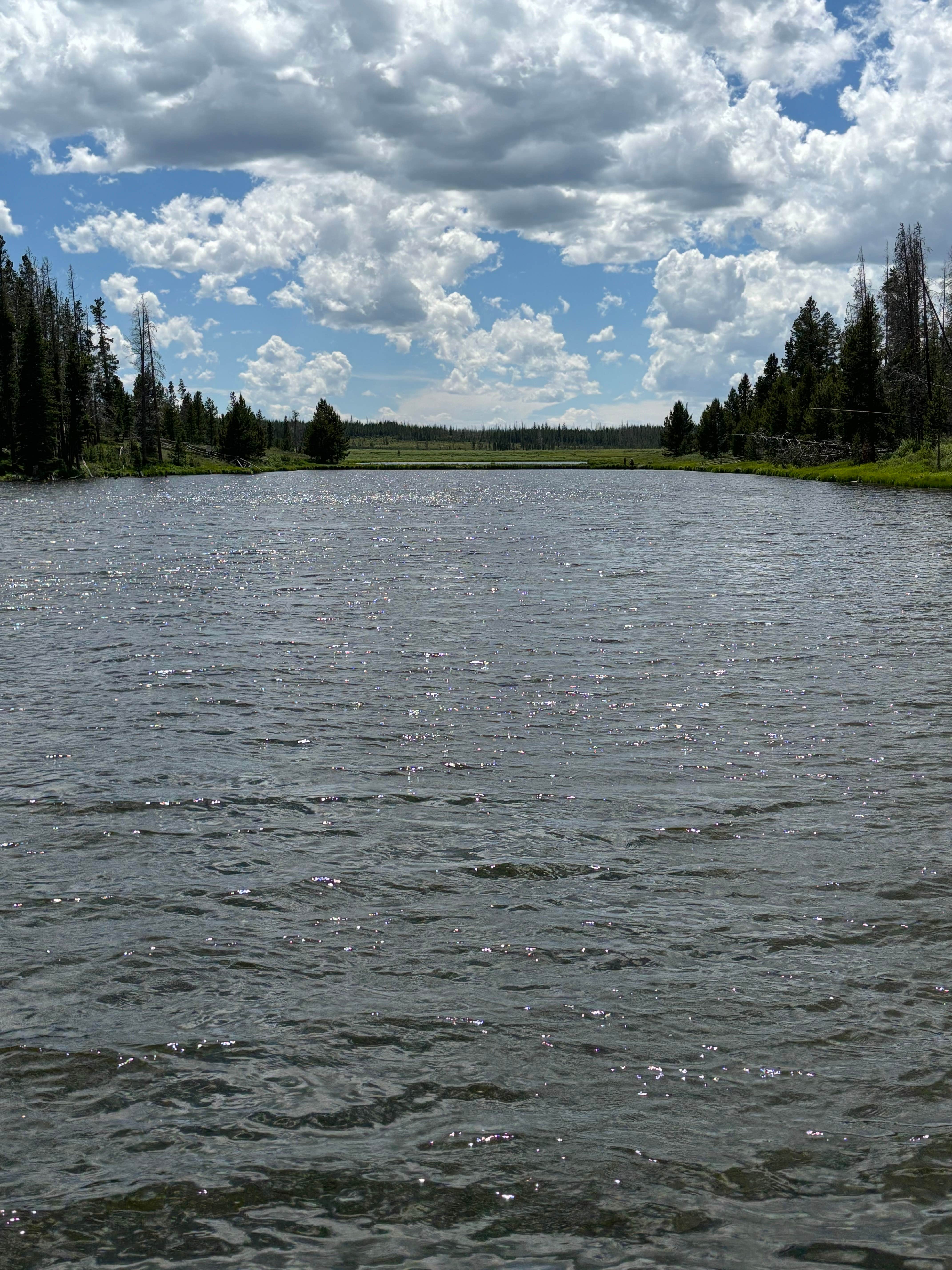 Camper-submitted photo at Miller Lake dispersed near Jelm, WY