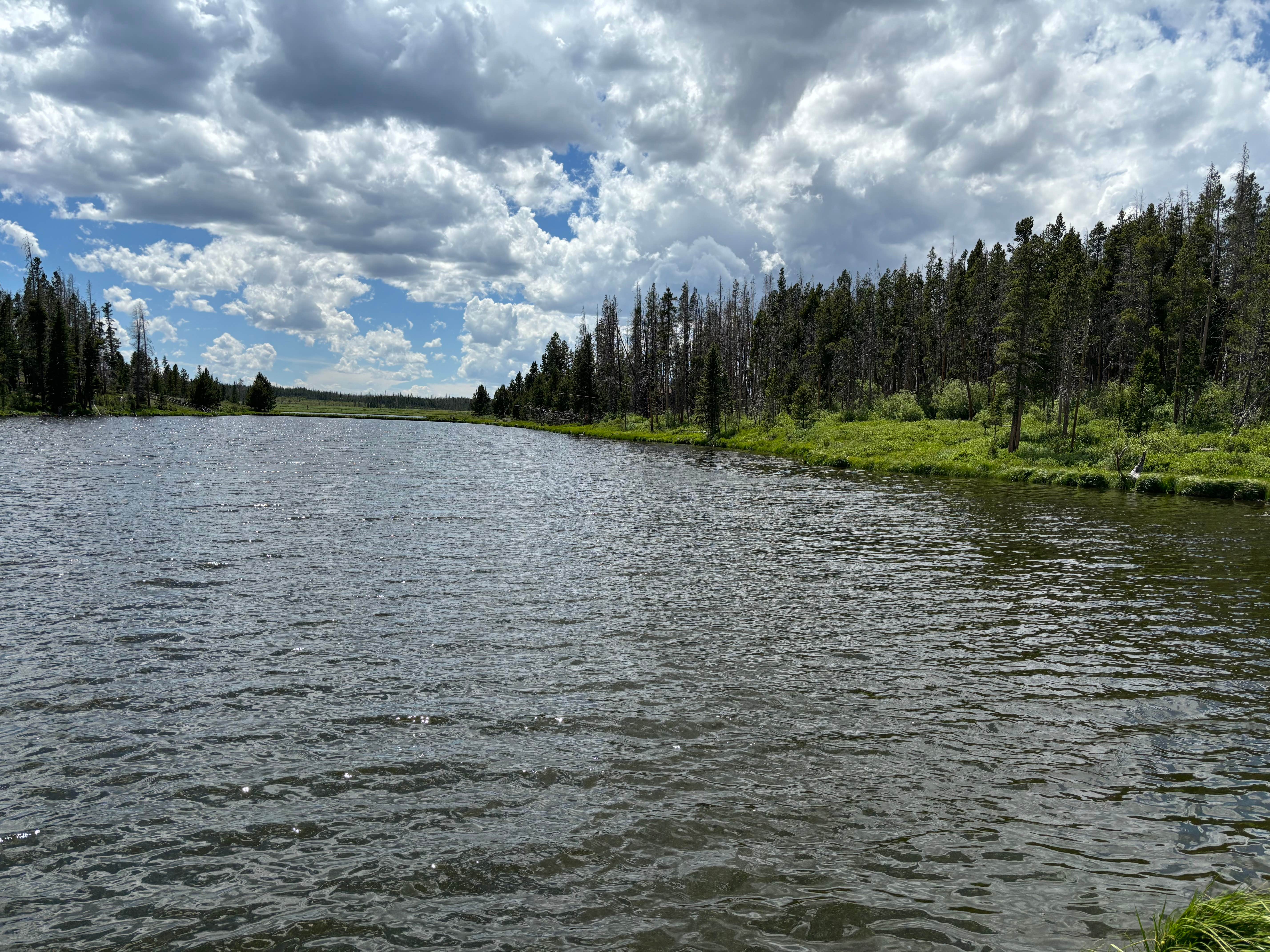 Camping near Little Cabin With a View: Miller Lake dispersed, Jelm, Wyoming