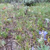 Review photo of Spread Creek Dispersed Site by Heather T., July 4, 2024