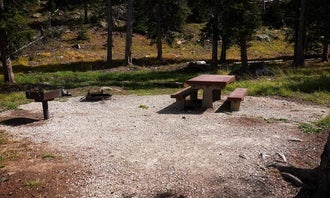 Camping near North Tongue: Owen Creek, Wolf, Wyoming