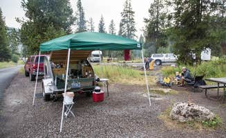 The Dyrt's photo at Pebble Creek Campground — Yellowstone National Park - CLOSED IN 2024 near Silver Gate, MT