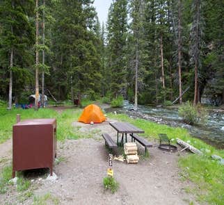 Camper-submitted photo from Pebble Creek Campground — Yellowstone National Park