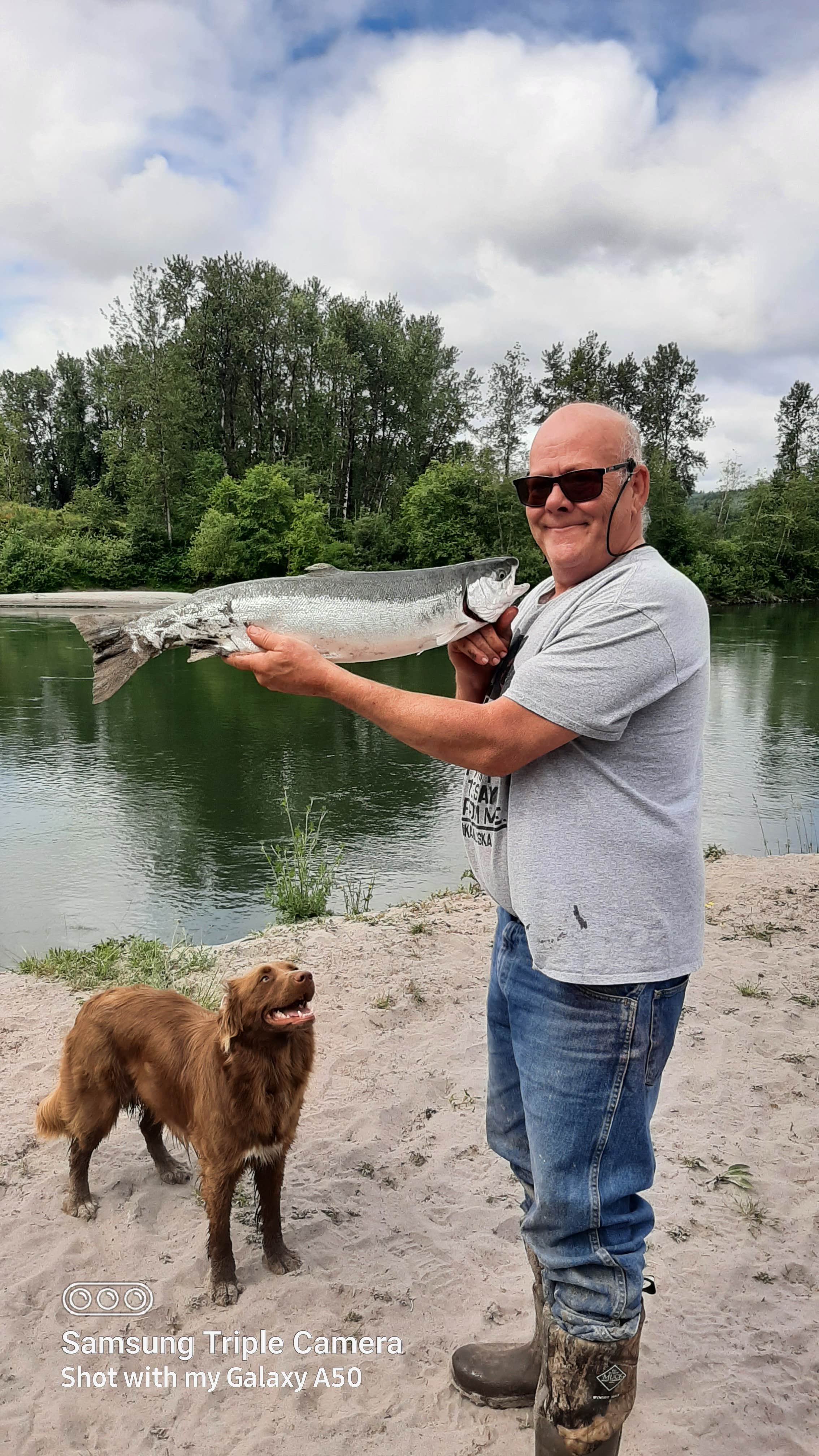 Camping near Seaquest State Park Campground: River bank, Castle Rock, Washington