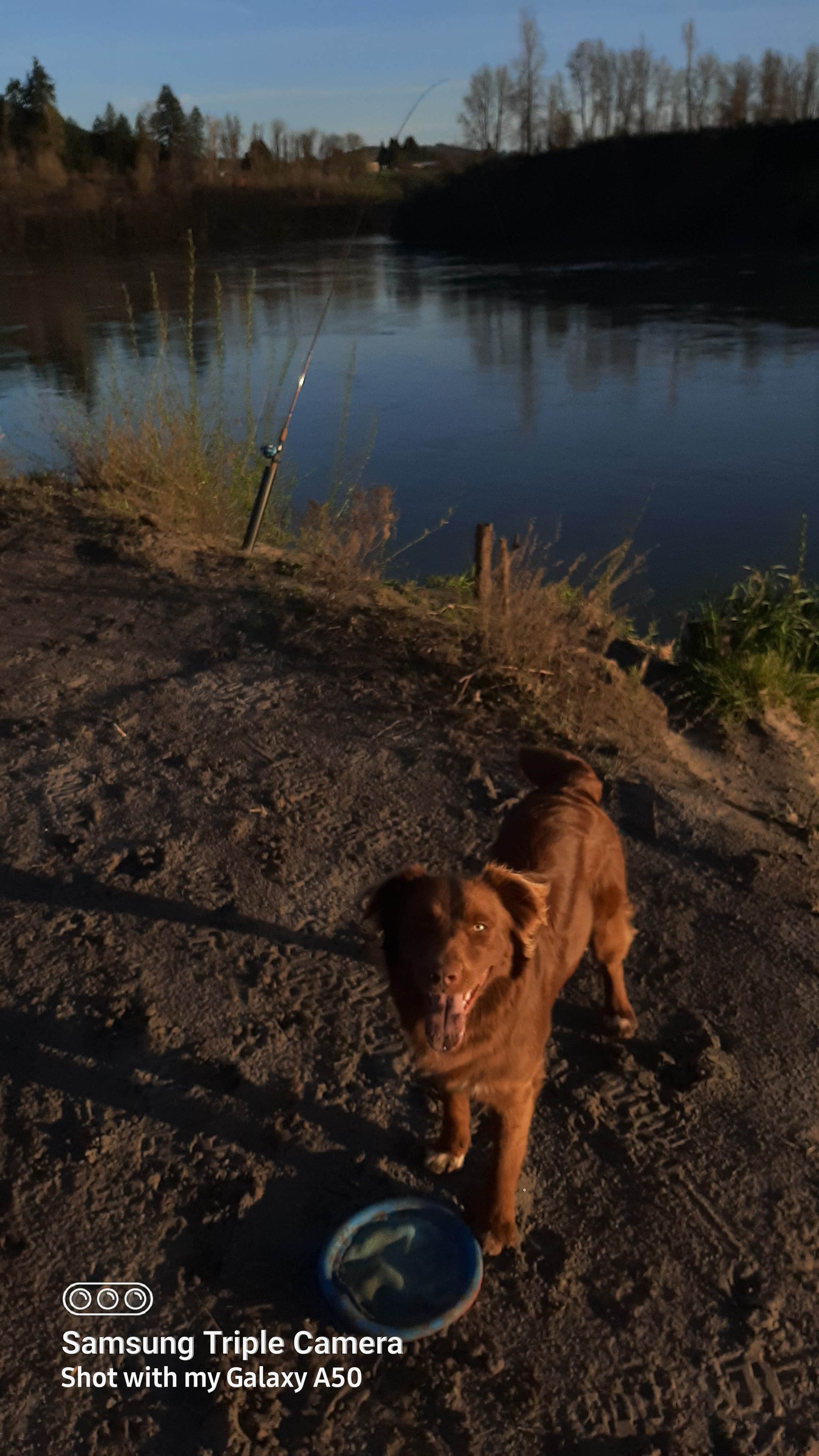 Camper-submitted photo at River bank near Rainier, OR