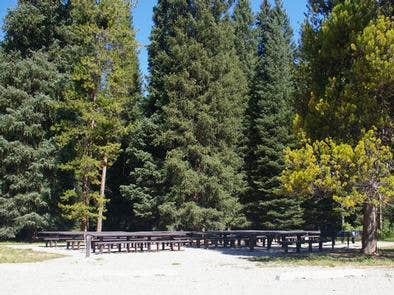 Camper submitted image from Targhee National Forest Reunion Flat Group Campground - 2