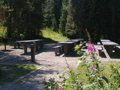 Camper submitted image from Targhee National Forest Reunion Flat Group Campground - 1