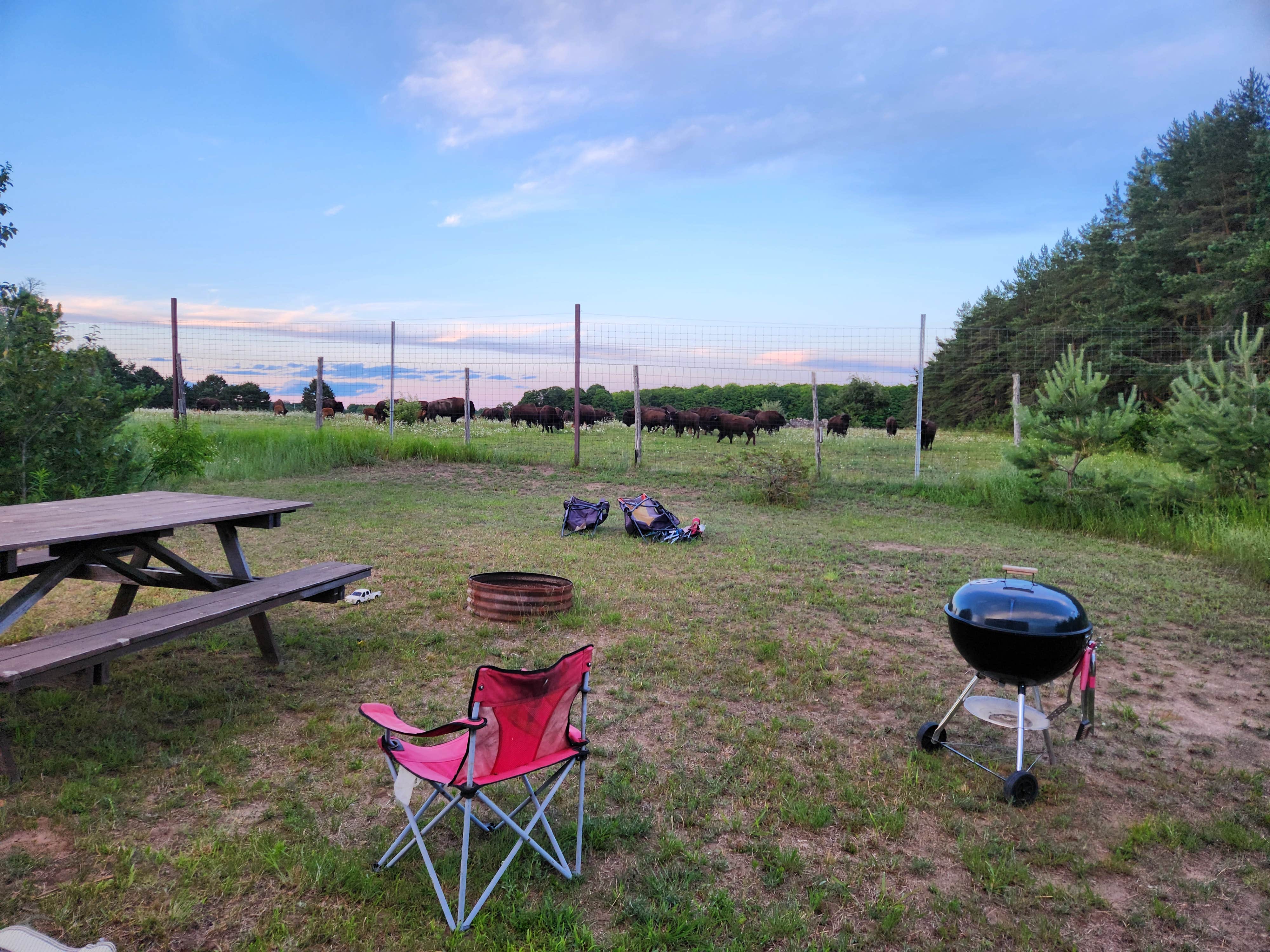 Jessica B.'s photo at Farm Stay Campsite near Cross Village, MI