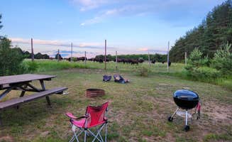 Jessica B.'s photo at Farm Stay Campsite near Mullett Lake, MI