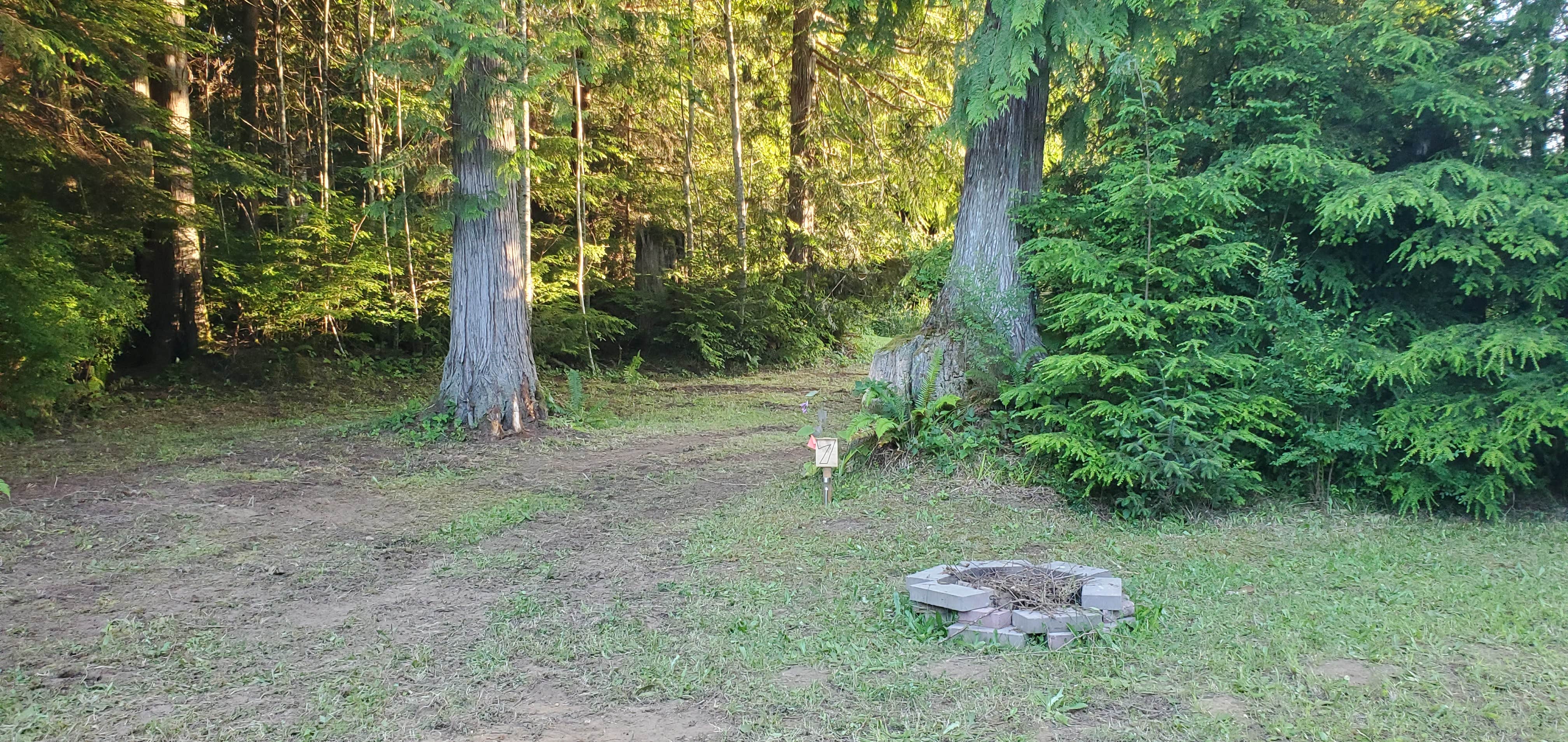 Camper-submitted photo at Weekend Worrior Camping near Sekiu, WA
